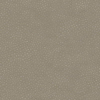 Kravet Couture EDGY SHARK.21.0 Edgy Shark Upholstery Fabric in Grey , Grey , Nickel